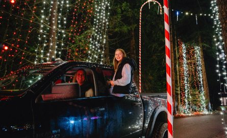Holiday Lights in Williams Park