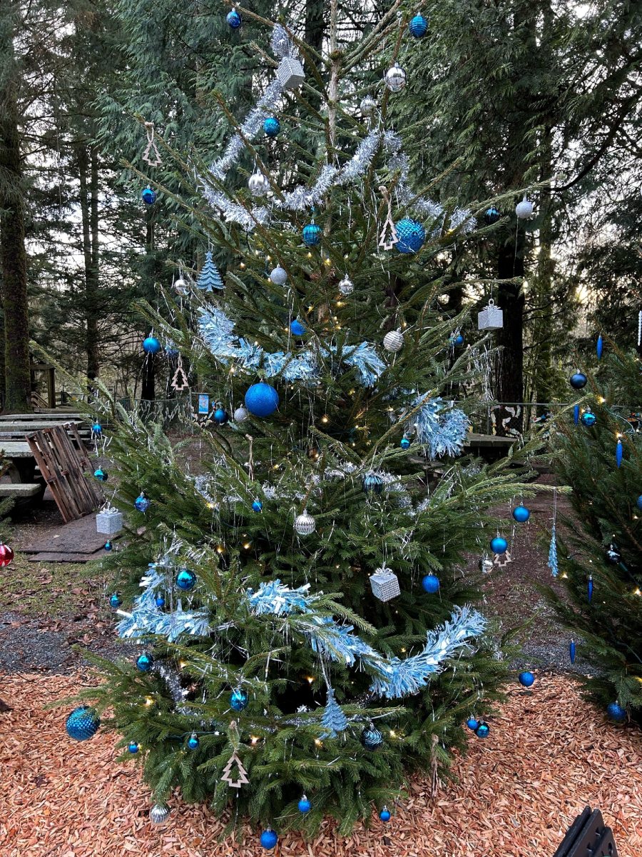 Lark - tree