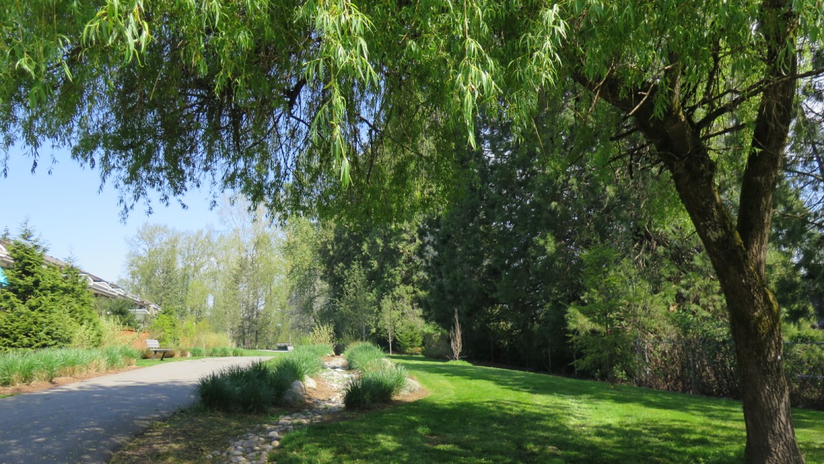 Community Forest Management Strategy