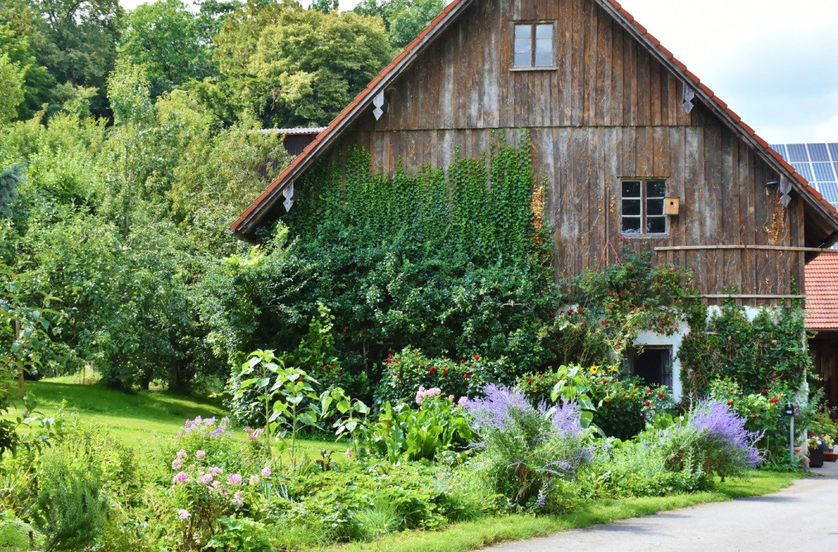 A brown, wooden barn.